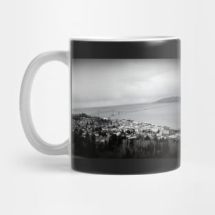 view from the Astoria Column Astoria–Megler Bridge Mug